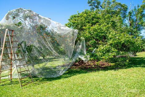 Property photo of 118 Highland Drive Julatten QLD 4871