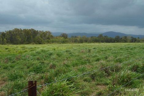 Property photo of 12 Carlton Road Alligator Creek QLD 4740