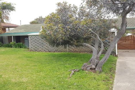 Property photo of 53 Albatross Avenue Chiton SA 5211