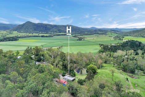 Property photo of 31 Brangus Court Kuttabul QLD 4741