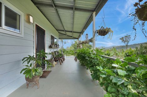 Property photo of 31 Brangus Court Kuttabul QLD 4741