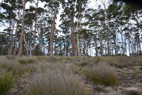 Property photo of 48 Youngs Road Apollo Bay TAS 7150