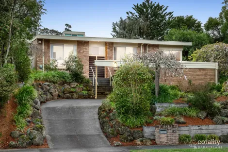 Property photo of 11 Apple Gum Grove Doncaster East VIC 3109