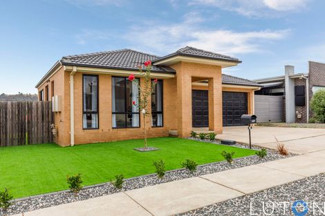 Property photo of 18 Isabel Flick Street Bonner ACT 2914