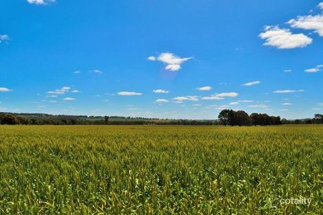 46 Burrumbuttock Walla Walla Rd, Burrumbuttock, NSW 2642