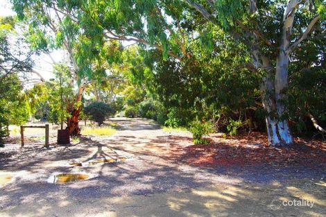 Property photo of 23-31 Maurice Street Coulta SA 5607