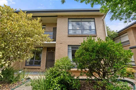 2/5 Alfred St, Norwood, SA 5067
