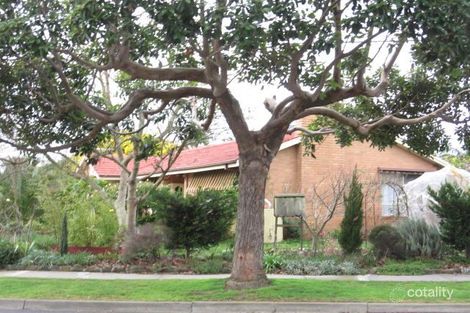 79 Winmalee Dr, Glen Waverley, VIC 3150