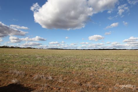 Property photo of 115 Bigg Road Monash SA 5342