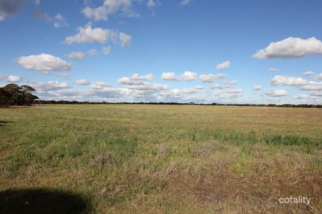 Property photo of 115 Bigg Road Monash SA 5342