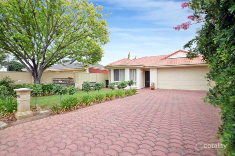 1a Avalon Rd, Marion, SA 5043