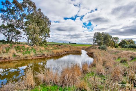 Property photo of 284 Macaw Creek Road Riverton SA 5412