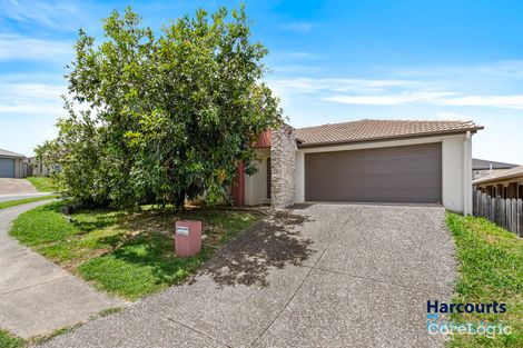 Property photo of 23 Huntley Crescent Redbank Plains QLD 4301