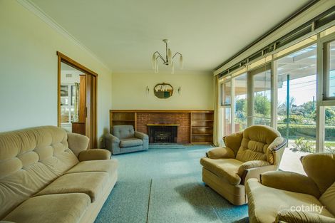 7 Mary St, Scottsdale, TAS 7260