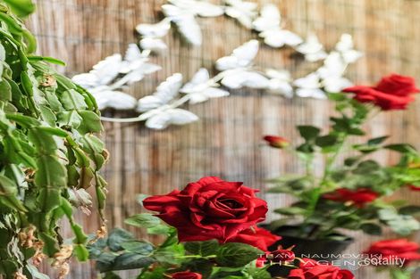 Property photo of 46B Harrison Street Balcatta WA 6021