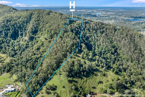 Property photo of 109 Wongawallan Drive Wongawallan QLD 4210