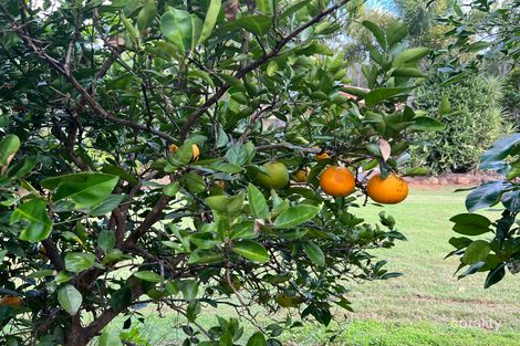 Property photo of 145 Eureka Station Road Eureka QLD 4660