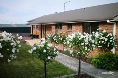 Property photo of 6 Griffiths Court Bridport TAS 7262