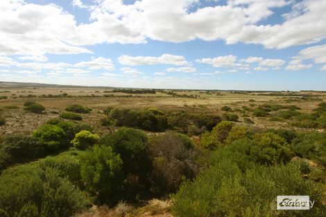 Property photo of 126 Newell Avenue Middleton SA 5213