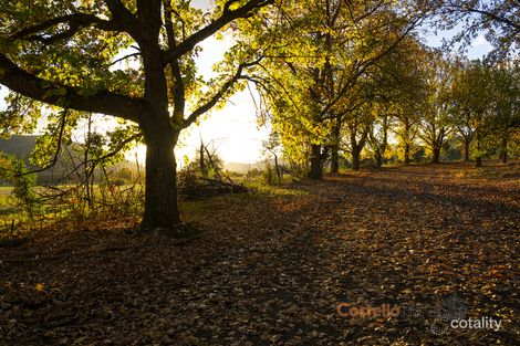 9 Mcillree St, Khancoban, NSW 2642