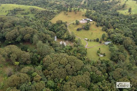 569 Hitchconole Rd, Tarzali, QLD 4885