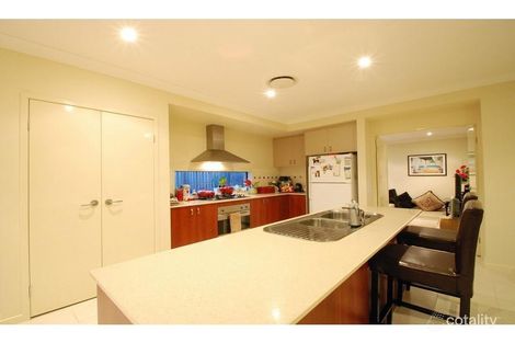 Property photo of 5 Peregrine Street Reedy Creek QLD 4227
