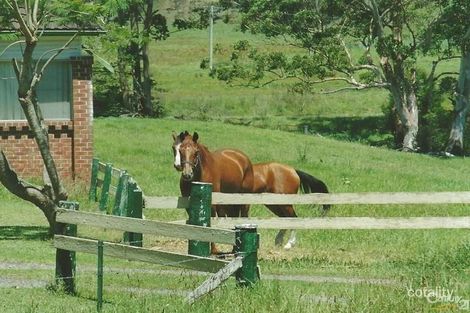 Property photo of 11 Lenaghans Drive Minmi NSW 2287