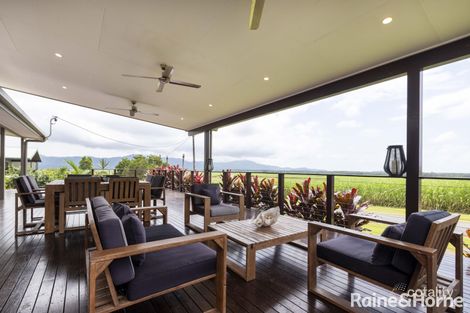 Property photo of 92 De Meio Drive Lower Daintree QLD 4873