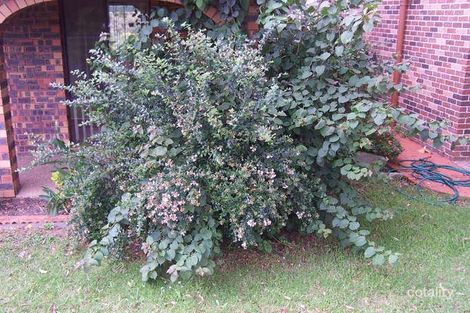 Property photo of 18 Burrawang Street Cherrybrook NSW 2126