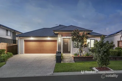 Property photo of 39 Macadamia Circuit Park Ridge QLD 4125