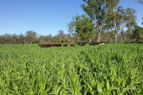 56 O'Reillys Weir Rd, Patrick Estate, QLD 4311