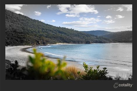 Property photo of 272 Blowhole Road Eaglehawk Neck TAS 7179