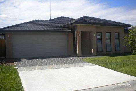 Property photo of 11 Tegel Street Spring Farm NSW 2570