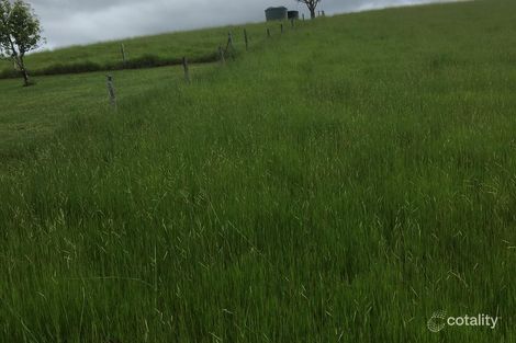 Property photo of 65938 Bruce Highway Eubenangee QLD 4860