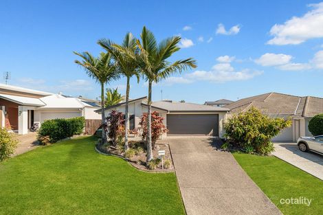 Property photo of 23 Tibouchina Street Mountain Creek QLD 4557