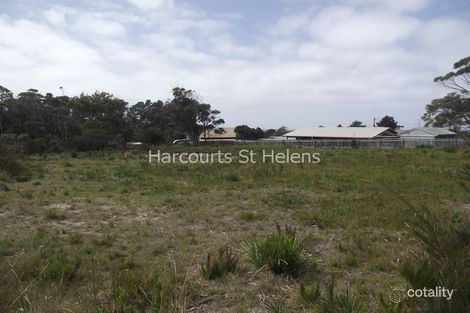 11 Seaview Ave, Beaumaris, TAS 7215