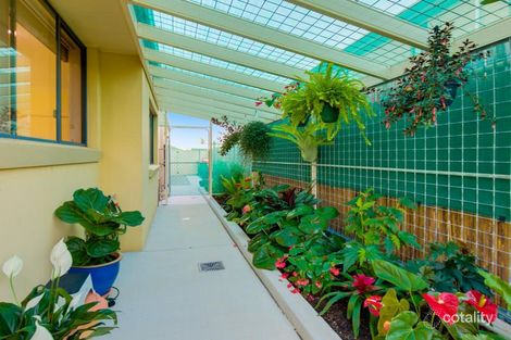 Property photo of 10 White Fig Place Thornlands QLD 4164