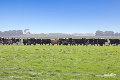 419 Occupation Lane, Garvoc, VIC 3265