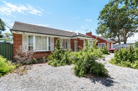 Property photo of 18 Carty Avenue Modbury SA 5092