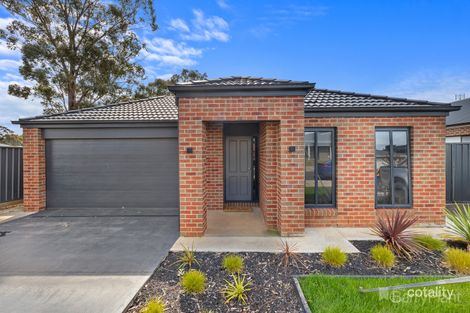 Property photo of 14 Surrey Street Jackass Flat VIC 3556