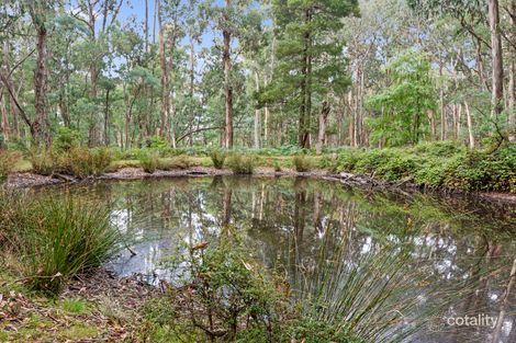 62 Shane Lane, Tolmie, VIC 3723