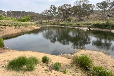 800 Shannon Vale Rd, Shannon Vale, NSW 2370