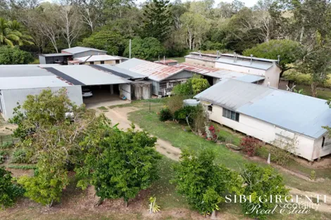 Property photo of 33 Querin Road Biboohra QLD 4880