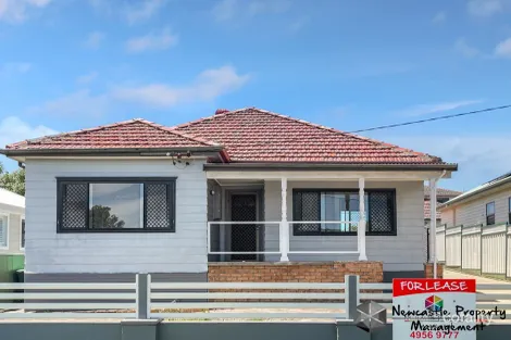 20 Norman St, Waratah West, NSW 2298