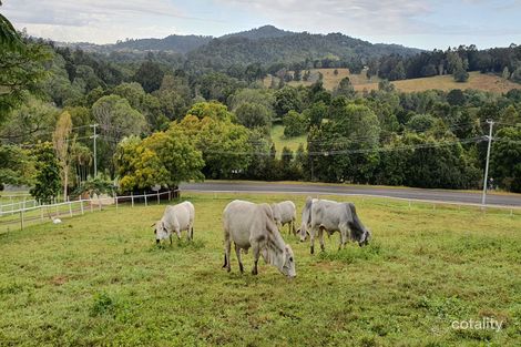 31 Barrenjoey Dr, Ormeau Hills, QLD 4208