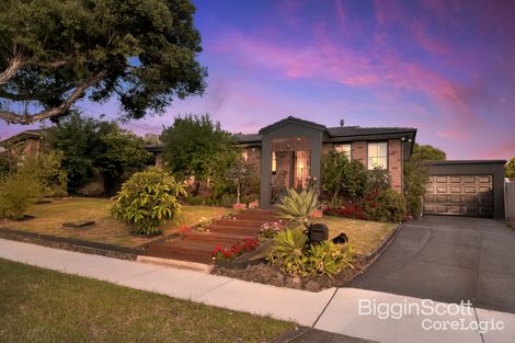 Property photo of 24 Licola Street Vermont South VIC 3133