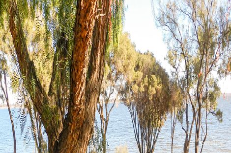 Property photo of 19 Queen Elizabeth Drive Barmera SA 5345