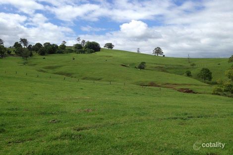 Property photo of 141 Tyalgum Creek Road Tyalgum Creek NSW 2484