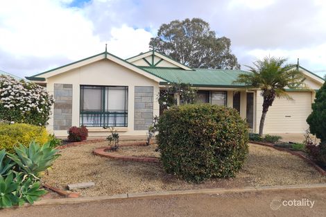 8 Whittard St, Risdon Park, SA 5540