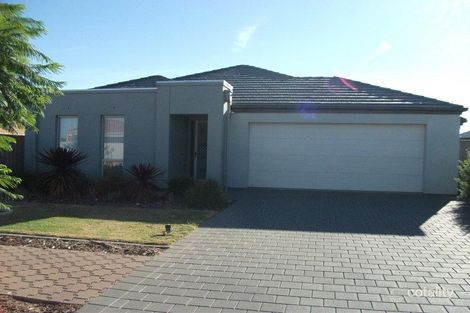 21 Hastings Ave, Burton, SA 5110